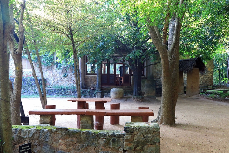Popham’s Arboretum