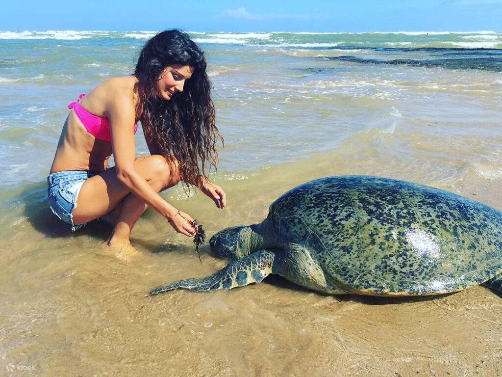 Rekawa Turtle Beach