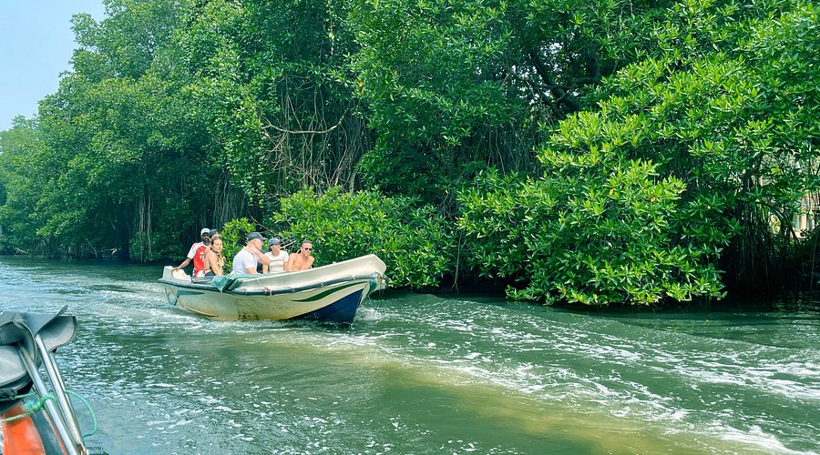 Bentota River
