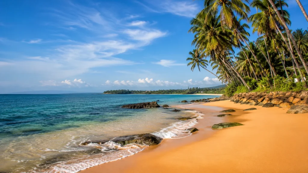 Best Time to Visit Sri Lanka