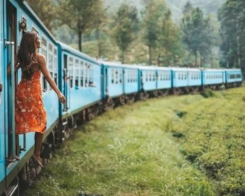Scenic Train Journey