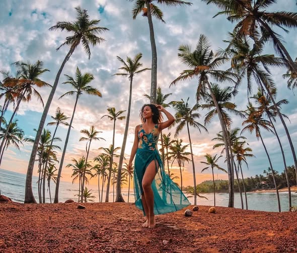 Coconut Tree Hill