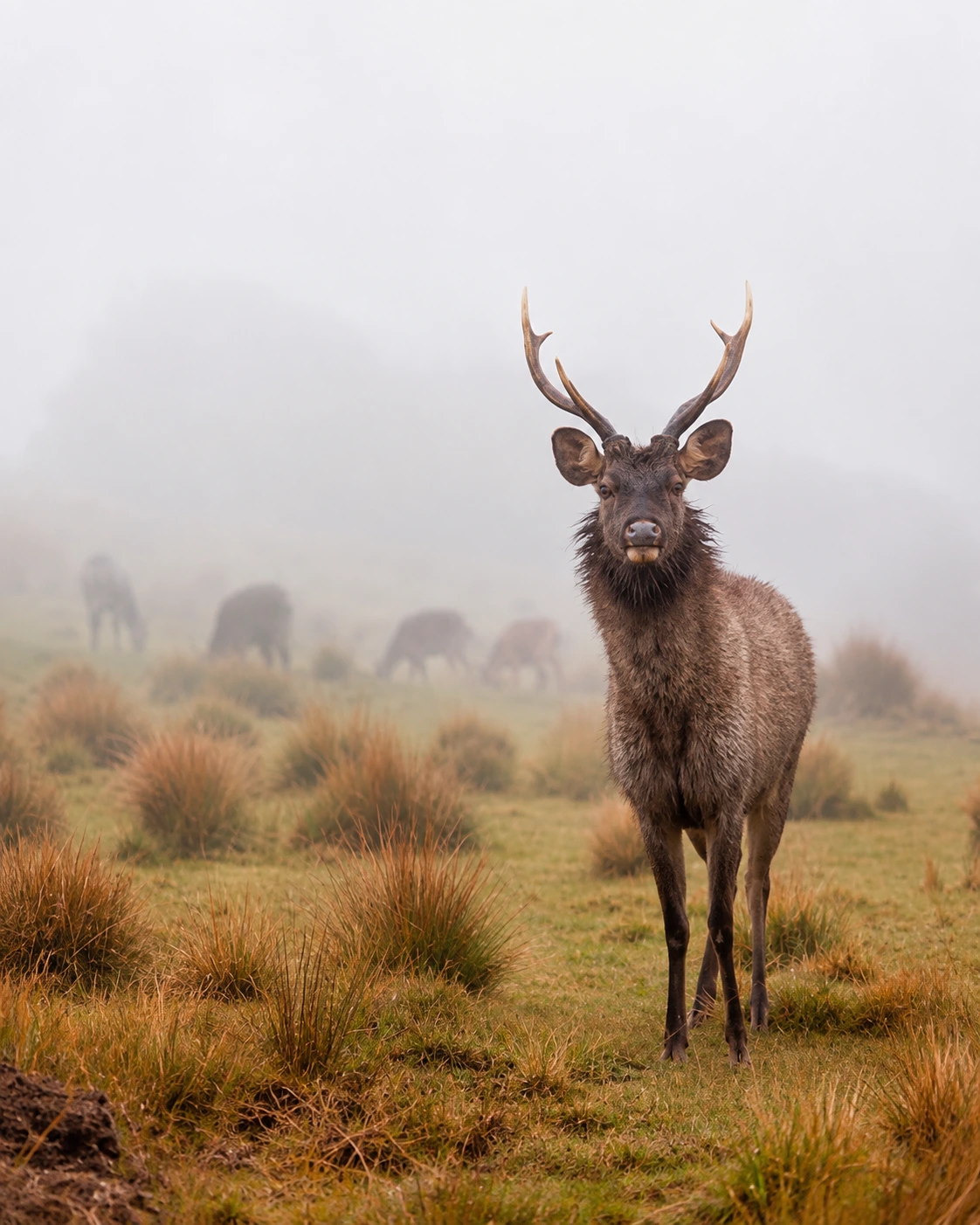 Horton Plains National Park & World’s End