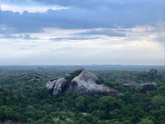 Sri Lanka Travel Cost Guide 2026: How Much Does a Trip Cost?