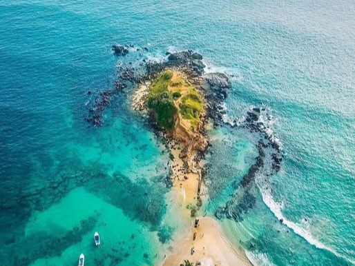 Parrot Rock
